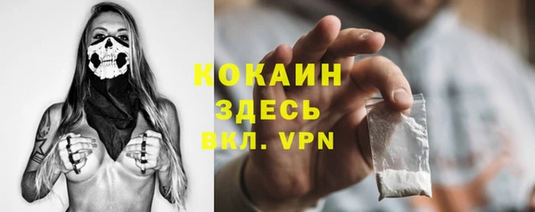 соль курить ск Рославль