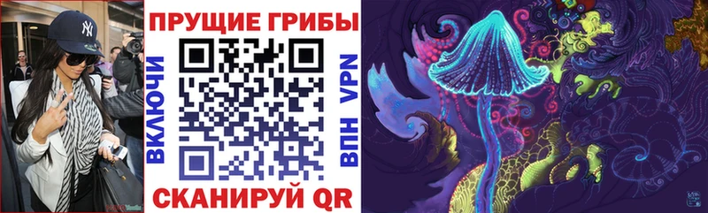 купить  сайты  Галич  Галлюциногенные грибы ЛСД 